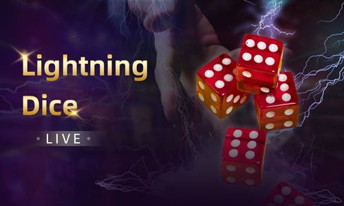 Pemeriksaan detail transaksi akun